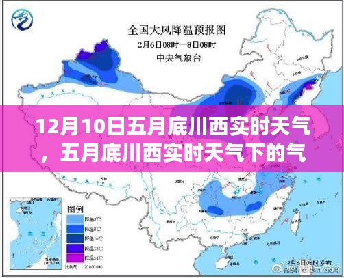 第1206页