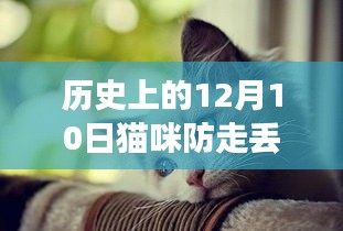 猫咪防走丢定位器的演变与重要性，历史上的12月10日实时定位技术撤不掉的影响