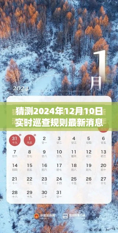 深度解读与预测，2024年实时巡查规则最新动态及消息猜测