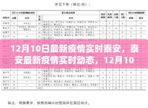 泰安最新疫情动态深度解读，12月10日实时数据与趋势分析