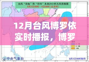 博罗依台风来袭，12月风暴实时播报