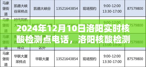 2024年洛阳核酸检测点实时电话体验与深度分析