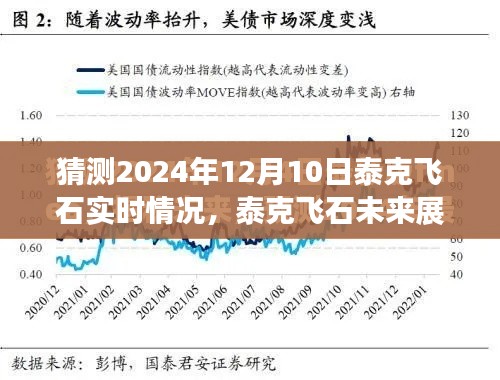 揭秘泰克飞石未来展望，预测与实时动态分析（2024年12月10日）