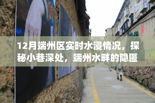 端州水畔美食秘境，探寻小巷深处的水浸与美食探秘之旅