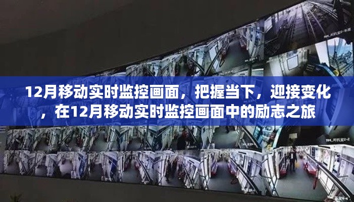 励志之旅，把握当下，迎接变化——12月移动实时监控画面中的探索与成长