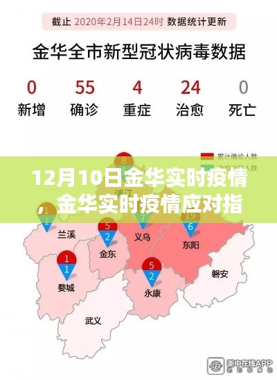 12月10日金华实时疫情应对指南，操作指南与关键步骤详解