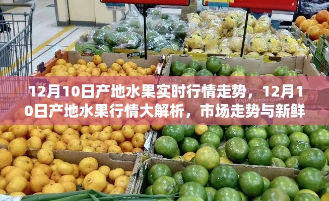 12月10日产地水果行情全面解析，市场走势与新鲜动态一网打尽