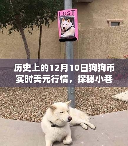 揭秘狗狗币在历史上的12月10日实时美元行情与小巷特色小店探秘