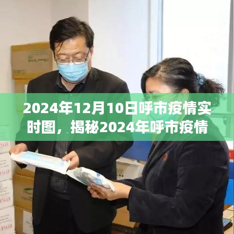 揭秘2024年呼市疫情实时图，数据、分析与展望