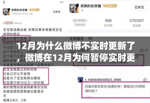 深度测评与用户体验分析，微博在12月暂停实时更新功能的原因探究