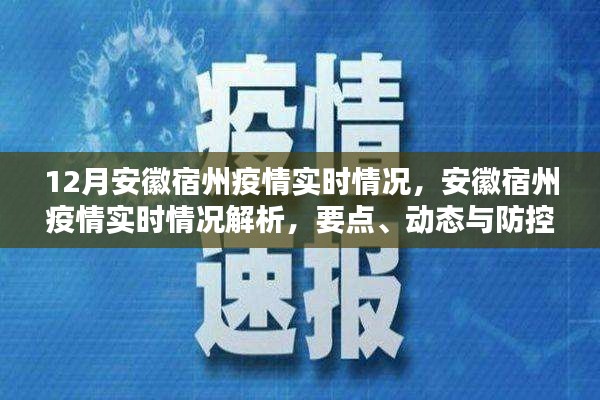 安徽宿州疫情实时解析，动态、要点与防控科普知识速递