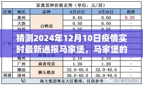 马家堡疫情最新动态，温馨的日常故事与明日展望（预计日期，2024年12月）