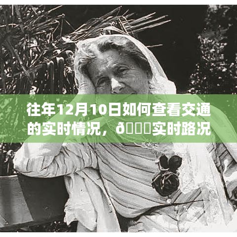 『未来出行助手揭秘，科技引领新纪元，实时路况尽在掌握』