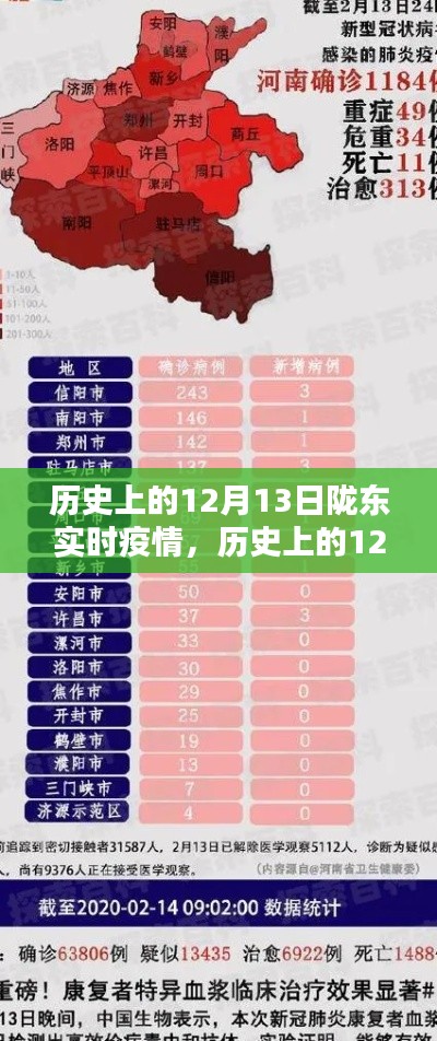 历史上的12月13日陇东实时疫情深度解析与介绍
