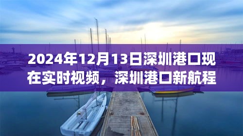深圳港口新航程，变革之舟驶向自信的彼岸实时视频记录（2024年12月13日）