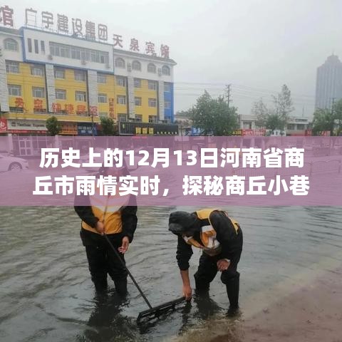 12月13日商丘雨巷美食奇遇，雨情之下的独特风味探秘
