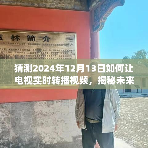 揭秘未来电视实时转播技术，探索自然美景，寻找心灵宁静的2024年之旅。