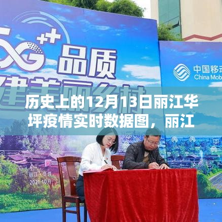 科技赋能下的精准防控新纪元，丽江华坪疫情实时追踪与数据图解析（历史篇）
