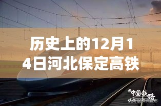 河北保定高铁直播日，美食探秘之旅与高铁时代的来临