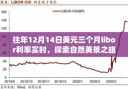 探索自然美景之旅，揭秘美元三个月Libor利率背后的故事与心灵宁静时刻