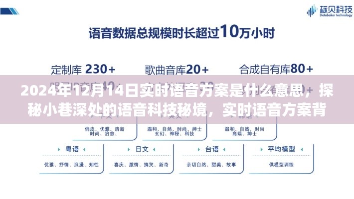 探秘实时语音方案，揭秘语音科技秘境背后的故事与未来展望（2024年12月14日）