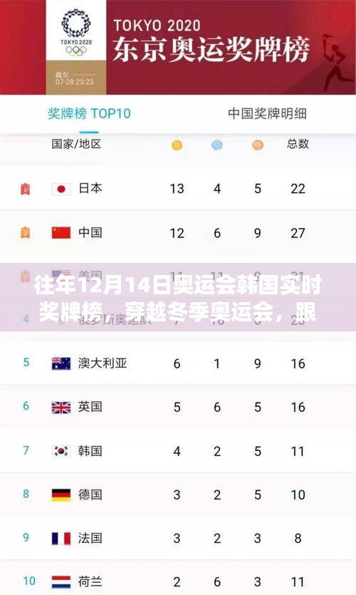 往年冬季奥运会韩国实时奖牌榜，与自然美景共舞的胜利之旅