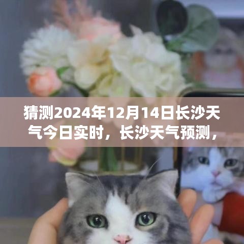 揭秘长沙未来天气，解读变化，预测长沙天气趋势至2024年12月14日