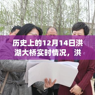 揭秘洪湖大桥传奇，历史上的十二月十四日实时情况回顾