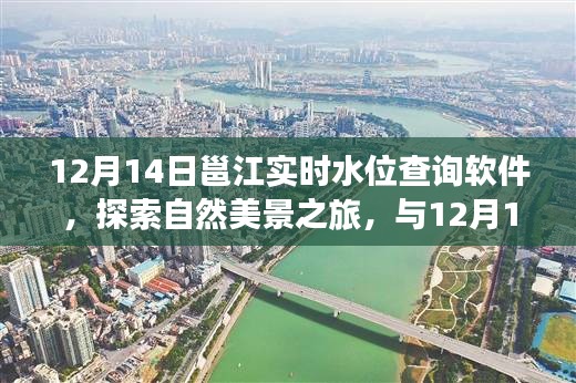 12月14日邕江实时水位查询软件，自然美景的探索之旅