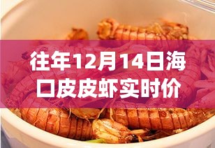 揭秘往年12月14日海口皮皮虾实时价格，小红书带你探索海鲜市场的秘密
