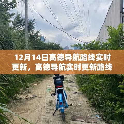 高德导航路线实时更新深度解析，正反观点分析及其影响