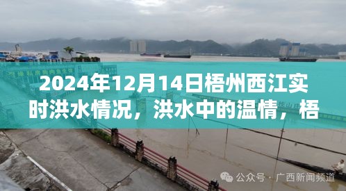 梧州西江洪水实录，温情脉脉的洪水时刻与深厚友情