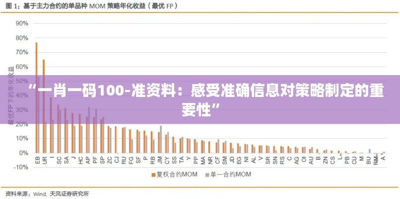 “一肖一码100-准资料：感受准确信息对策略制定的重要性”