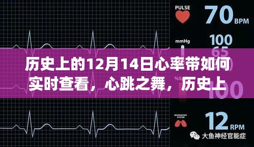 衣不重采 第3页