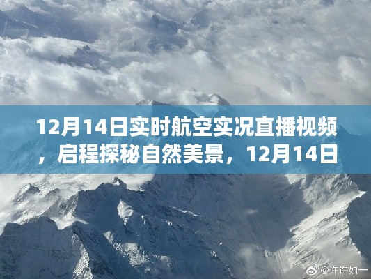 启程探秘自然美景，航空直播启程，领略心灵之旅