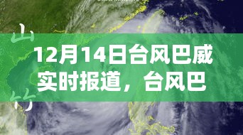 台风巴威来袭，逆风踏浪，探寻宁静港湾的实时报道（12月14日）