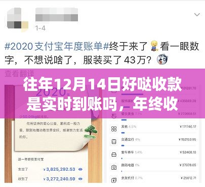年终收款新纪元，实时到账科技魔力体验揭秘