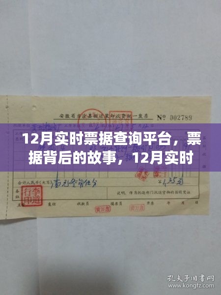揭秘票据背后的故事，12月实时票据查询平台的日常与温馨体验