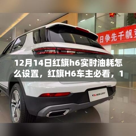 红旗H6实时油耗设置攻略，车主必看，12月14日全指南
