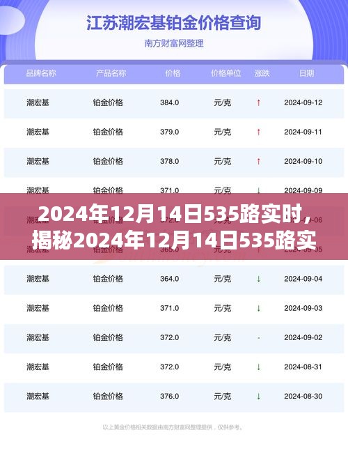 揭秘2024年12月14日535路公交车实时动态，出行规划与体验指南