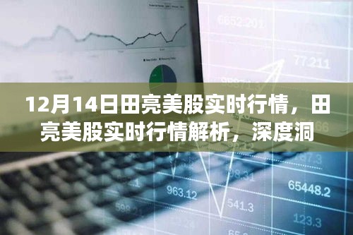 田亮美股实时行情解析，深度洞察股市风云（12月14日）