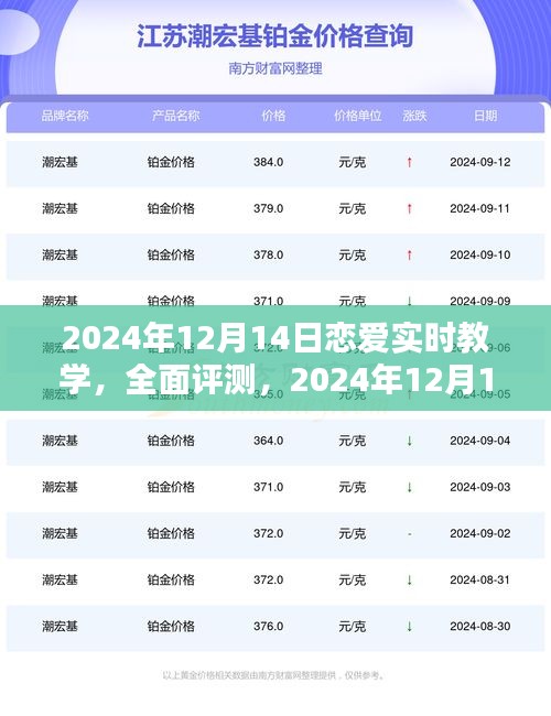 恋爱实时教学深度解析与产品介绍，2024年12月14日全面评测与指南