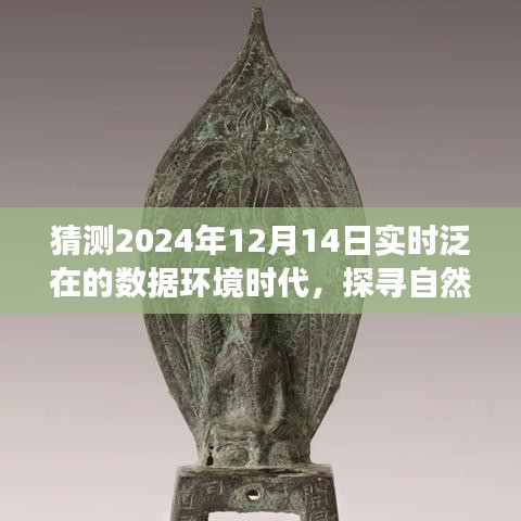2024年12月14日，泛在数据环境下的自然秘境探寻与心灵之旅