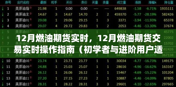 12月燃油期货实时操作指南，从初学者到进阶用户的全方位指导