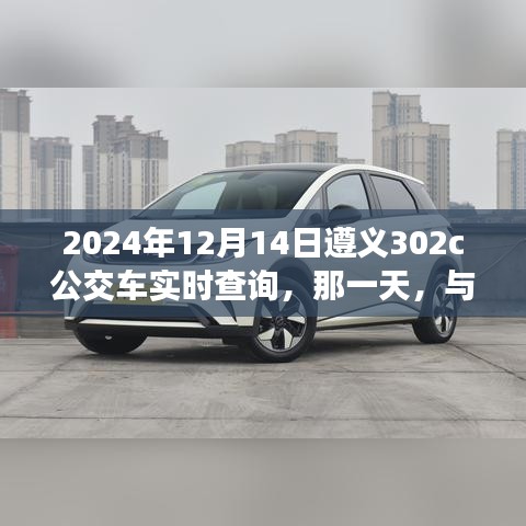 遵义公交奇妙相遇，2024年12月14日遵义公交302C实时查询体验
