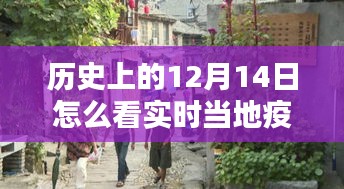 历史上的12月14日，获取实时当地疫情信息的途径探索与小巷特色小店探秘。