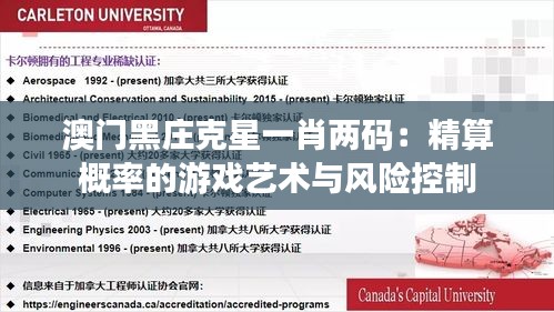 澳门黑庄克星一肖两码：精算概率的游戏艺术与风险控制