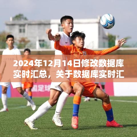 2024年数据库实时汇总技术升级，聚焦系统更新与性能优化