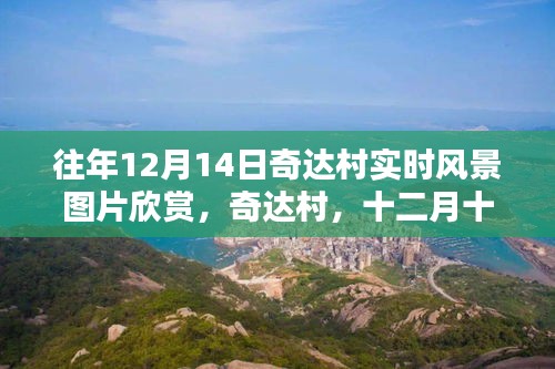 展翅欲飞 第4页