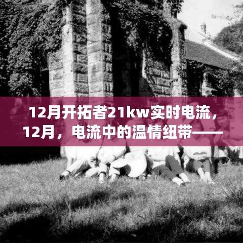 12月开拓者日常故事，实时电流中的温情纽带
